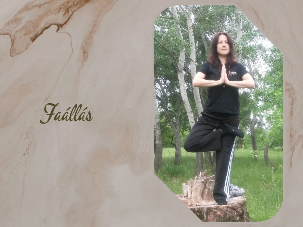 Faállás - vriksászana