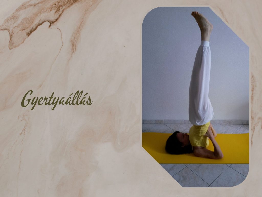 Gyertyaállás - szarvángászana