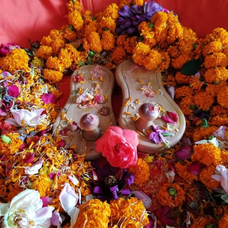 Napló indiai elvonulásomról 21. Dzsagannátha Ratha Játrá