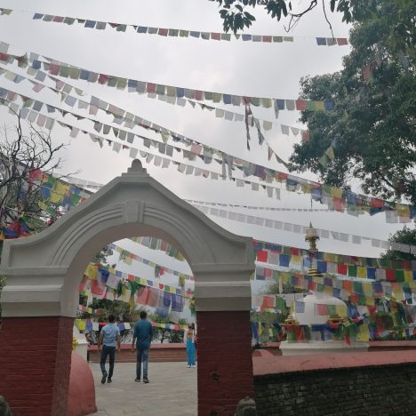 Napló indiai elvonulásomról 21. Dzsagannátha Ratha Játrá